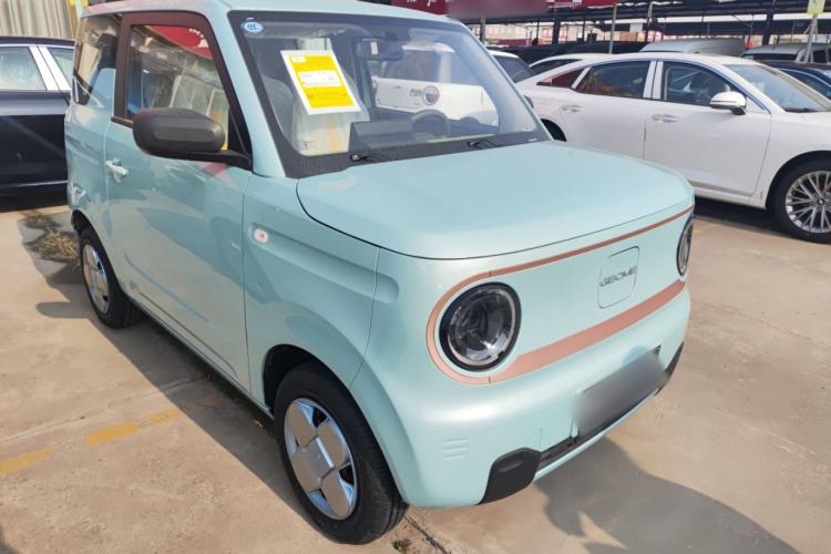 Used  Panda 2024 Panda Mini 200km Endurance Bear
