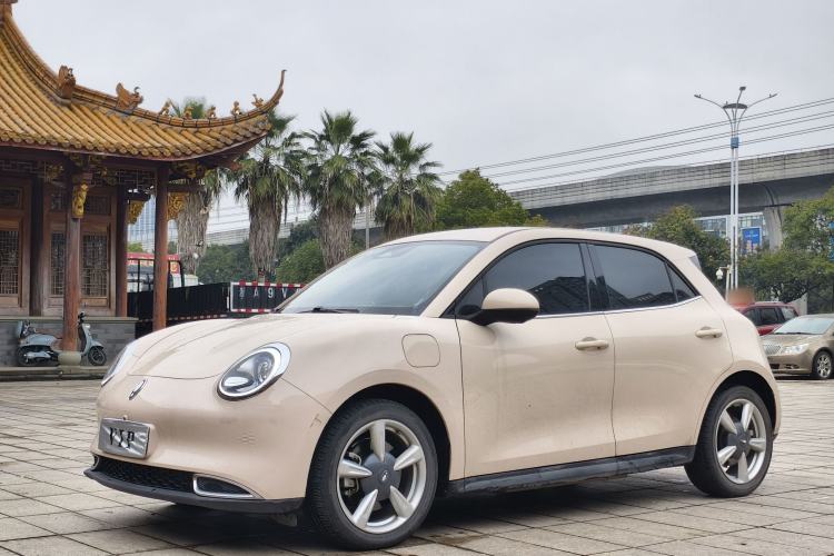 Used ORA Good Cat 2023 401 km Standard Range Luxury Version Lithium Iron Phosphate