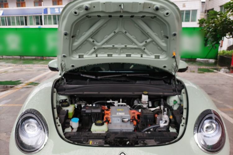 Used ORA Good Cat 2023 401 km Standard Range Premium Version Lithium Iron Phosphate
