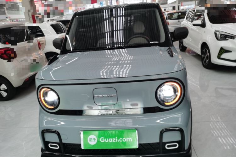 Used  Panda 2024 200km Panda Kart
