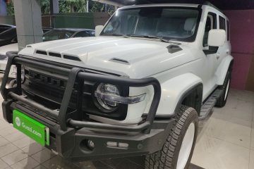 Used Tank 300 New Energy 2024 Hi4-T