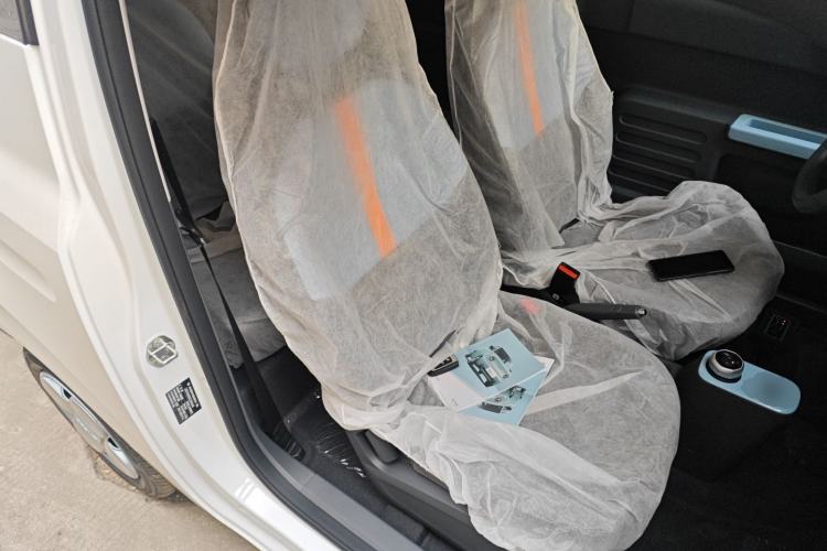 Used  Panda 2024 Panda Mini 200km Endurance Bear
