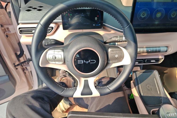 Used BYD Seagull 2024 Honor Edition 305km Freedom Version
