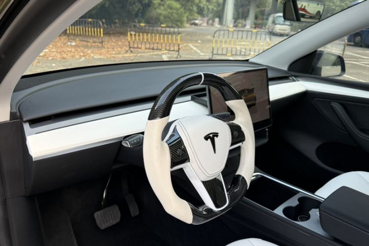 Used Tesla Model Y 2022 Revised Version Long-Range All-Wheel Drive
