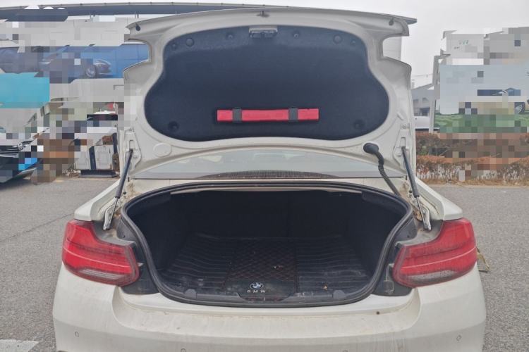 Used BMW 2 Series (Import) 2018 225i M Sport
