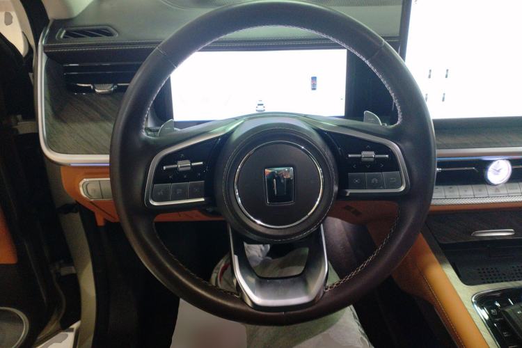 Used Tank 500 New Energy 2024 Hi4-T