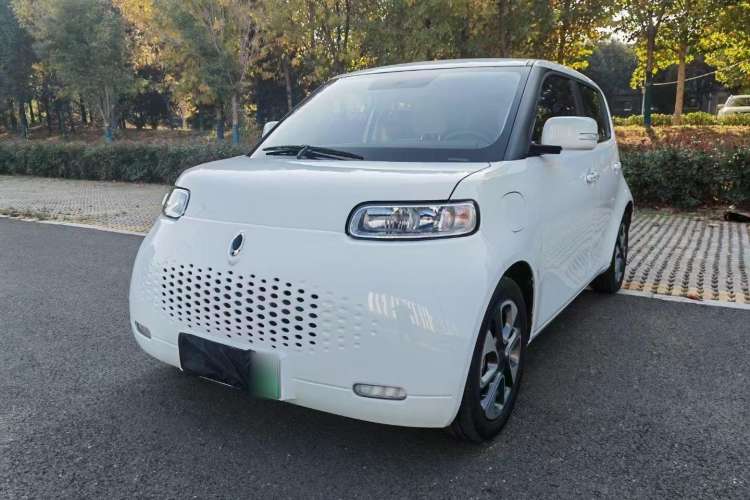 Used ORA White Cat 2020 305 km Luxury Version
