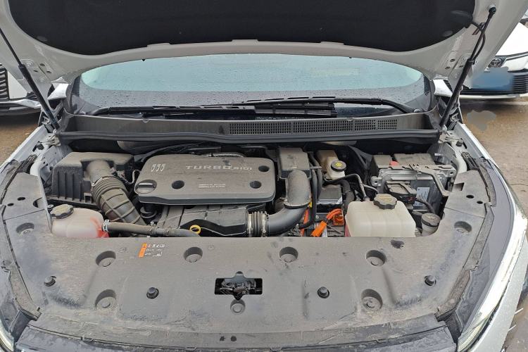 Used Buick GL8 New Energy 2024 Lu Zun Luxury Edition 7-Seater
