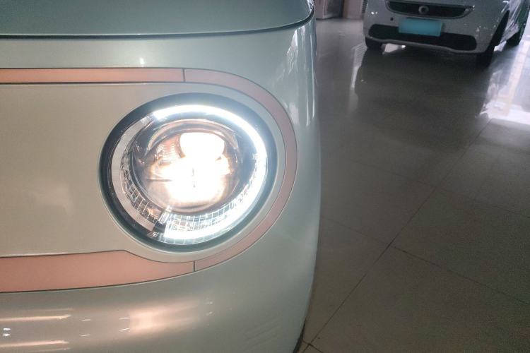 Used  Panda 2023 Panda Mini 200km Endurance Bear
