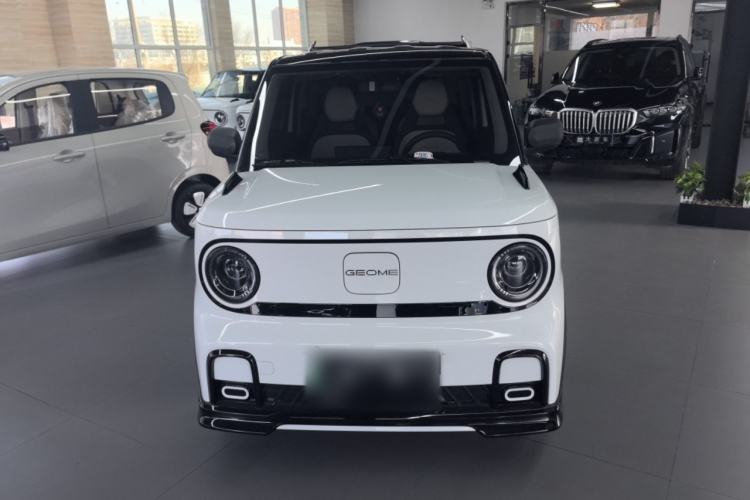 Used  Panda 2025 210km Panda Rider
