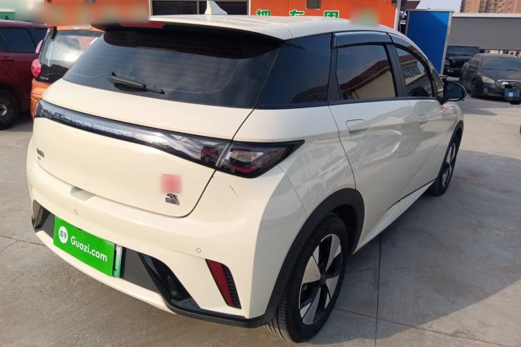 Used BYD Dolphin 2023 420 km Free Version