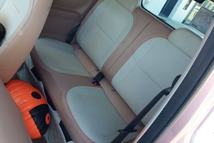 Used  Panda 2023 Panda Mini 200km Endurance Bear
