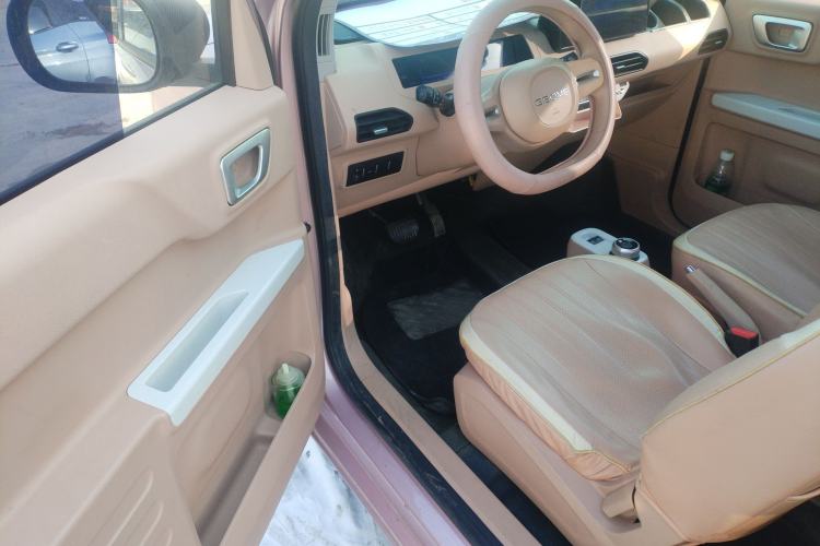 Used  Panda 2024 Panda Mini 200km Endurance Bear