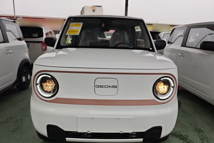 Used  Panda 2024 Panda Mini 200km Endurance Bear
