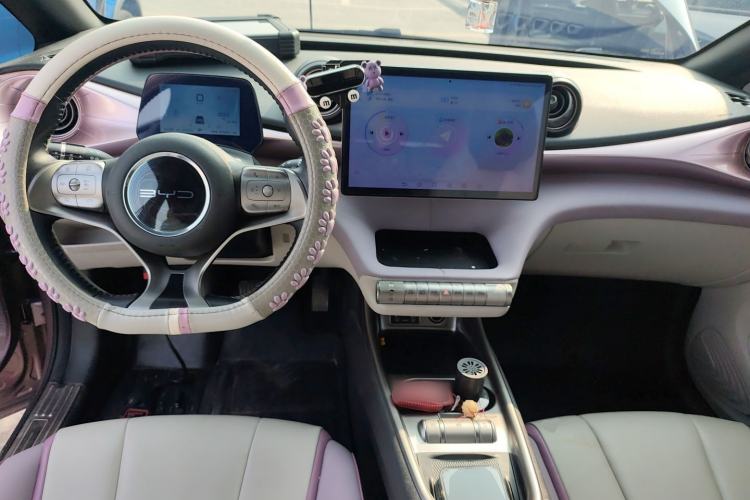 Used BYD Dolphin 2021 401km Knight Edition