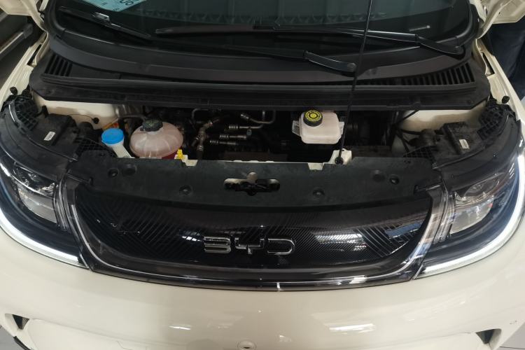 Used BYD Dolphin 2024 Honor Edition 420km Fashion Version
