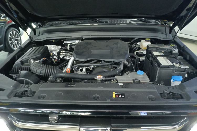 Used Tank 300 2024 2.0T Crosser
