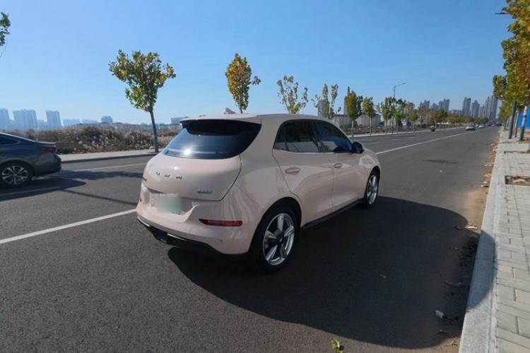 Used ORA Good Cat 2023 401 km Standard Range Luxury Version Lithium Iron Phosphate
