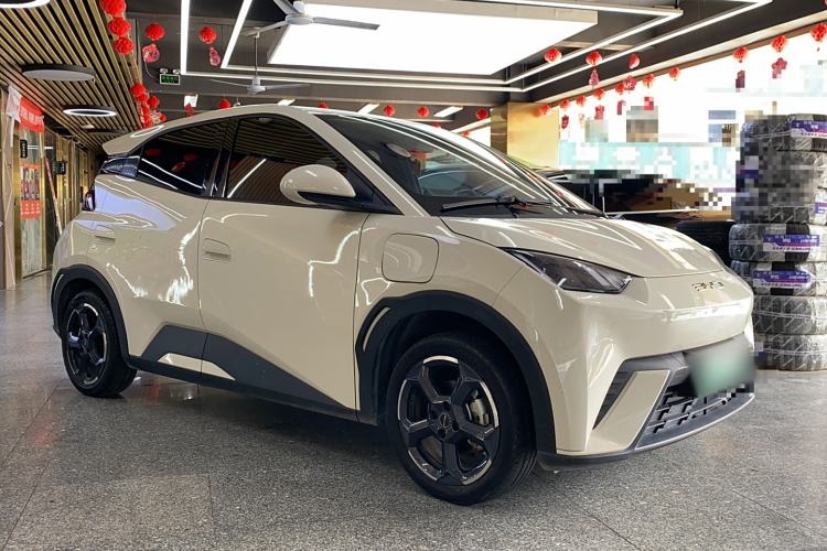 Used BYD Seagull 2023 Flying Edition
