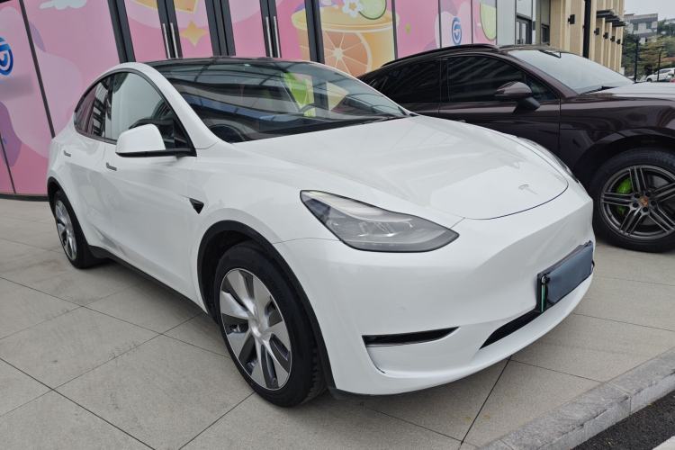 Used Tesla Model Y 2021 Standard Range Rear-Wheel Drive Version
