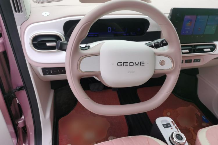 Used  Panda 2025 210 km – Yuanqi Bear