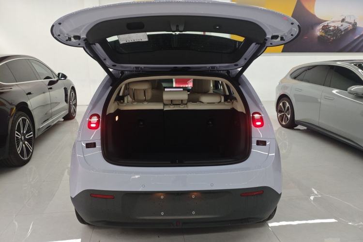 Used firefly firefly 2025 Illuminated Edition