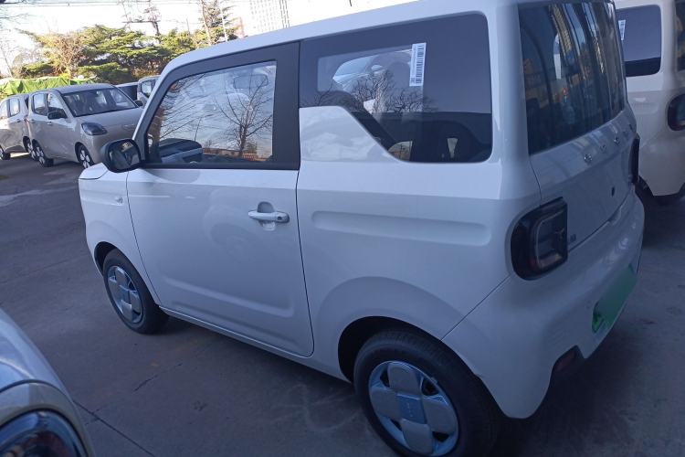 Used  Panda 2024 Panda Mini 200km Endurance Bear