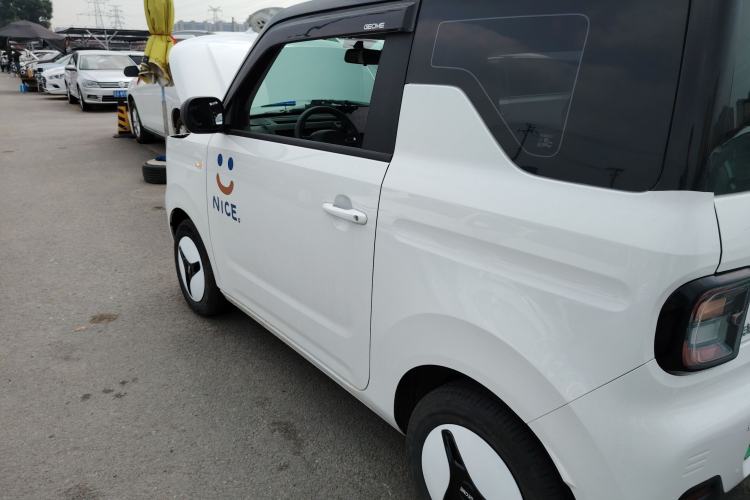 Used  Panda 2023 Panda Mini 200km Endurance Bear
