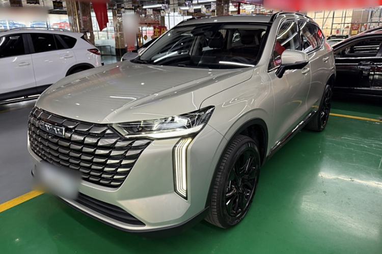 Used Haval H6 2024 2.0T All-Wheel Drive Max
