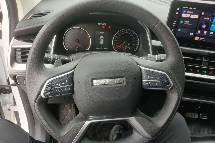 Used Haval H6 2023 National Trend Edition 1.5T Automatic Urban Version
