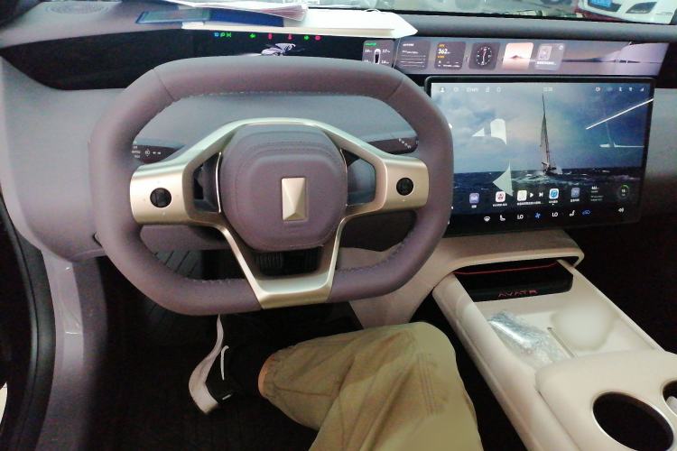 Used  06 2025 Pro Range-Extended Edition
