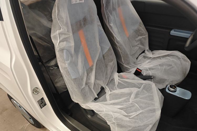 Used  Panda 2024 Panda Mini 200km Endurance Bear
