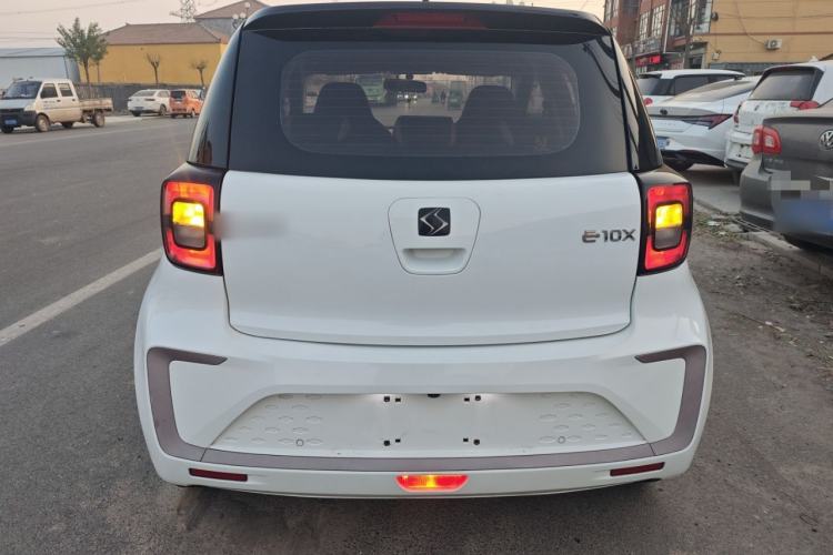 Used SOL E10X 2022 Flower Fairy Design Four-Leaf Clover