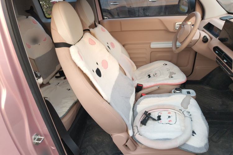 Used  Panda 2024 Panda Mini 200km Endurance Bear