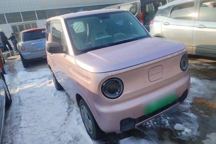 Used  Panda 2024 Panda Mini 200km Endurance Bear