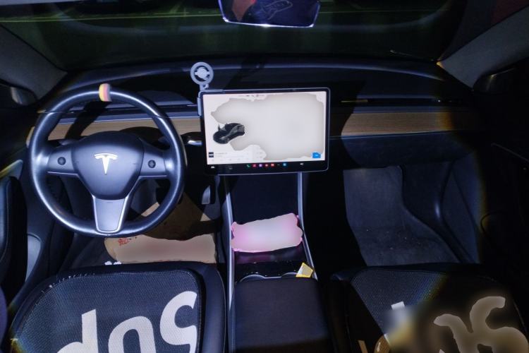 Used Tesla Model 3 (Import) 2019 Long-Range Rear-Wheel-Drive Version