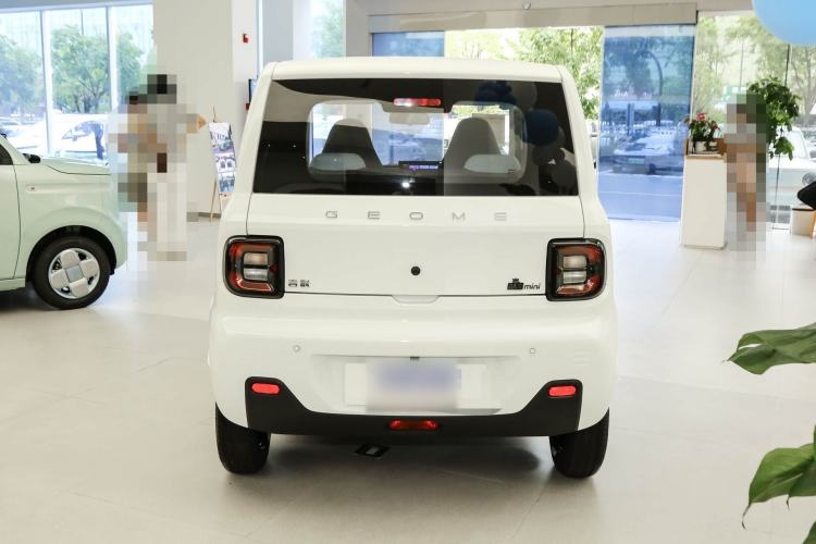 Used  Panda 2024 Panda Mini 200km Endurance Bear
