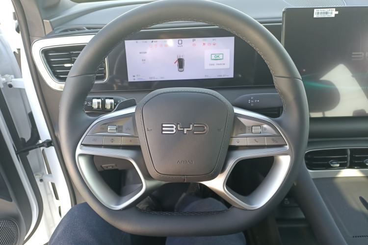 Used BYD Sealion 06 New Energy 
