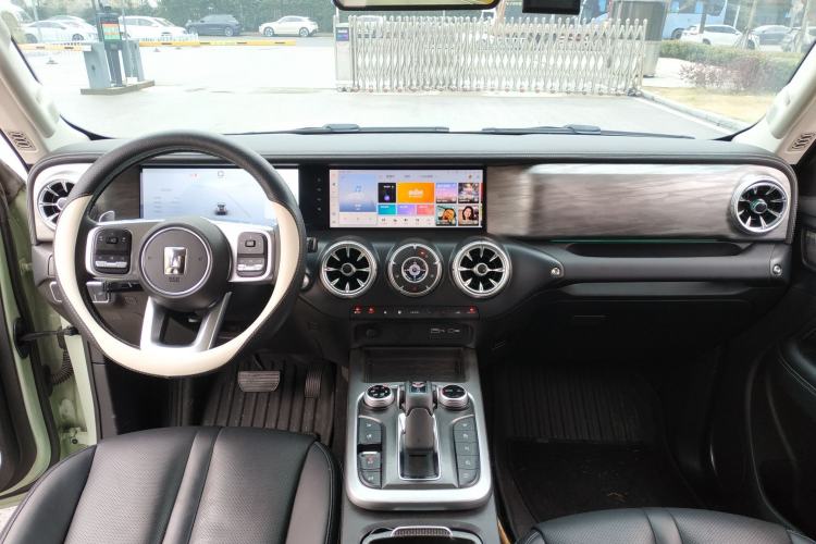 Used Tank 300 2024 2.0T Crosser
