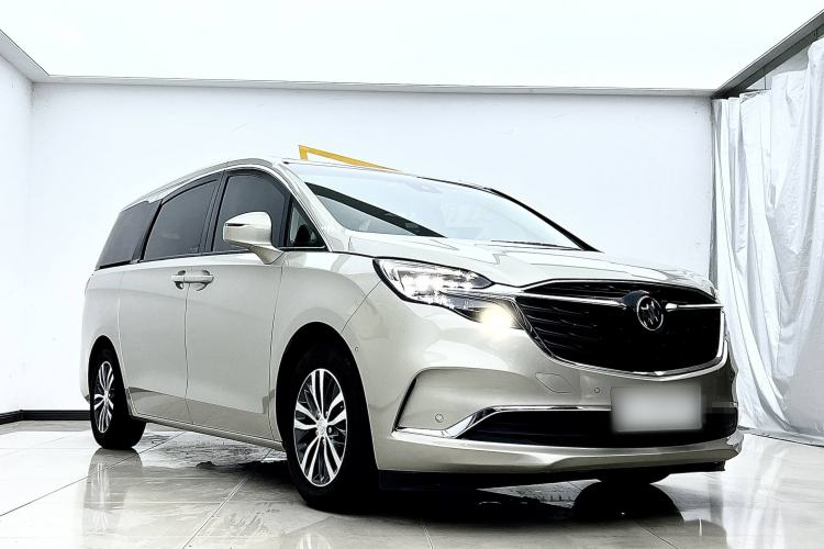 Used Buick GL8 2022 ES Landtrek 653T Luxury Edition
