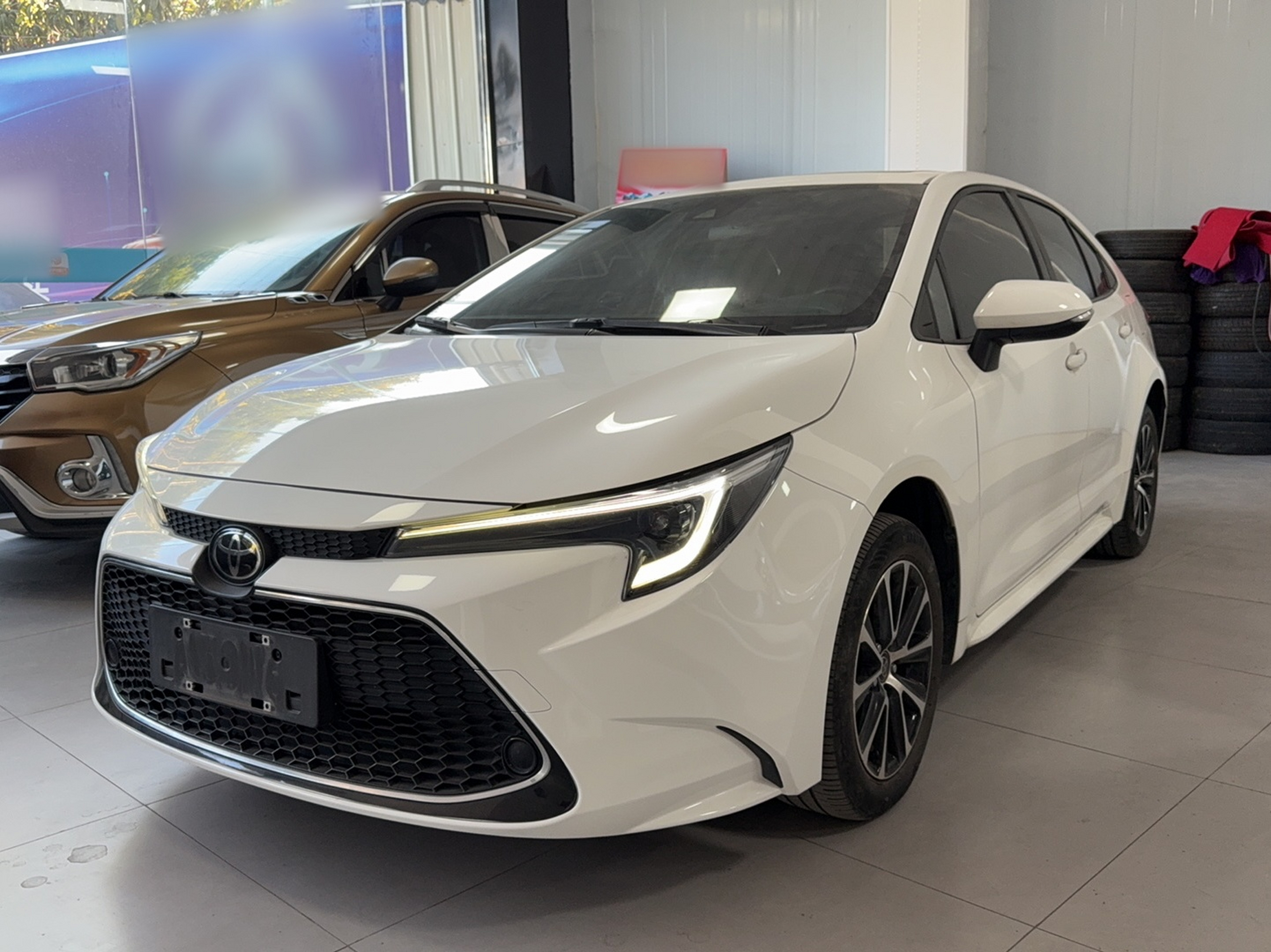 تحت مقدمة السيارة