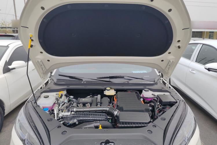 Used BYD Seal 06 New Energy 2025 DM-i Smart Drive 80KM Luxury Model
