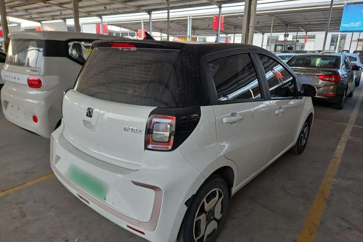 Used SOL E10X 2022 Flower Fairy Design Four-Leaf Clover
