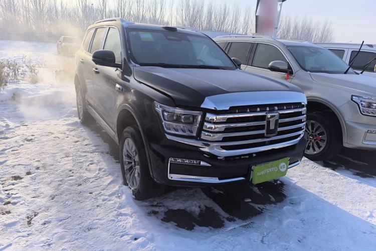 Used Tank 500 New Energy 
