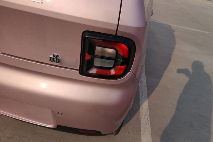 Used  Panda 2025 210 km – Yuanqi Bear
