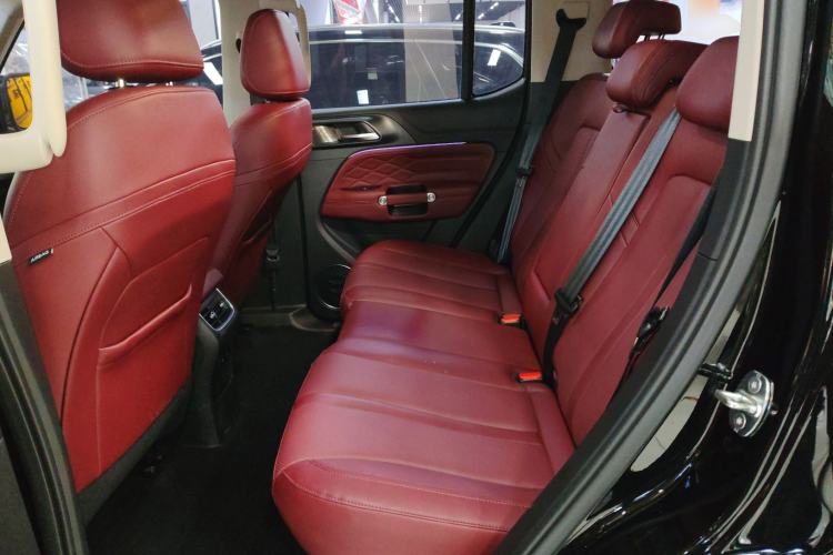 Used Tank 300 2024 2.0T Crosser
