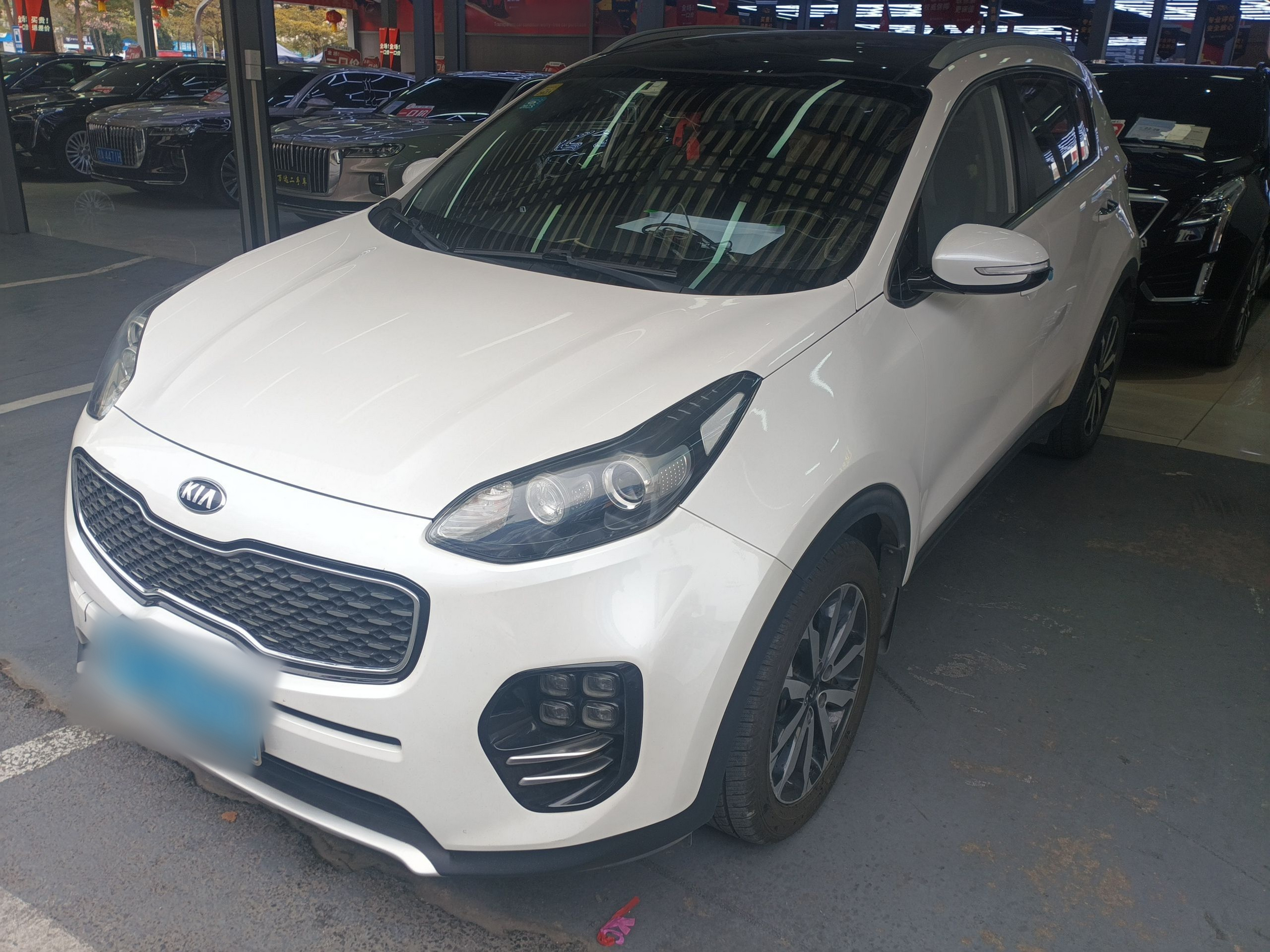 تحت مقدمة السيارة