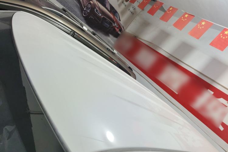 Used  Panda 2024 Panda Mini 200km Endurance Bear
