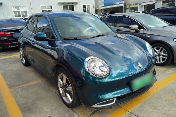 Used ORA Good Cat 2023 401 km Standard Range Luxury Version Lithium Iron Phosphate