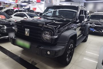 Used Tank 300 New Energy 2025 Hi4-T